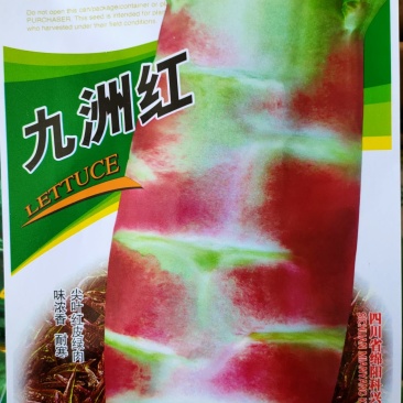 莴笋种子耐寒莴笋种子红尖叶莴笋种子红皮莴笋种子