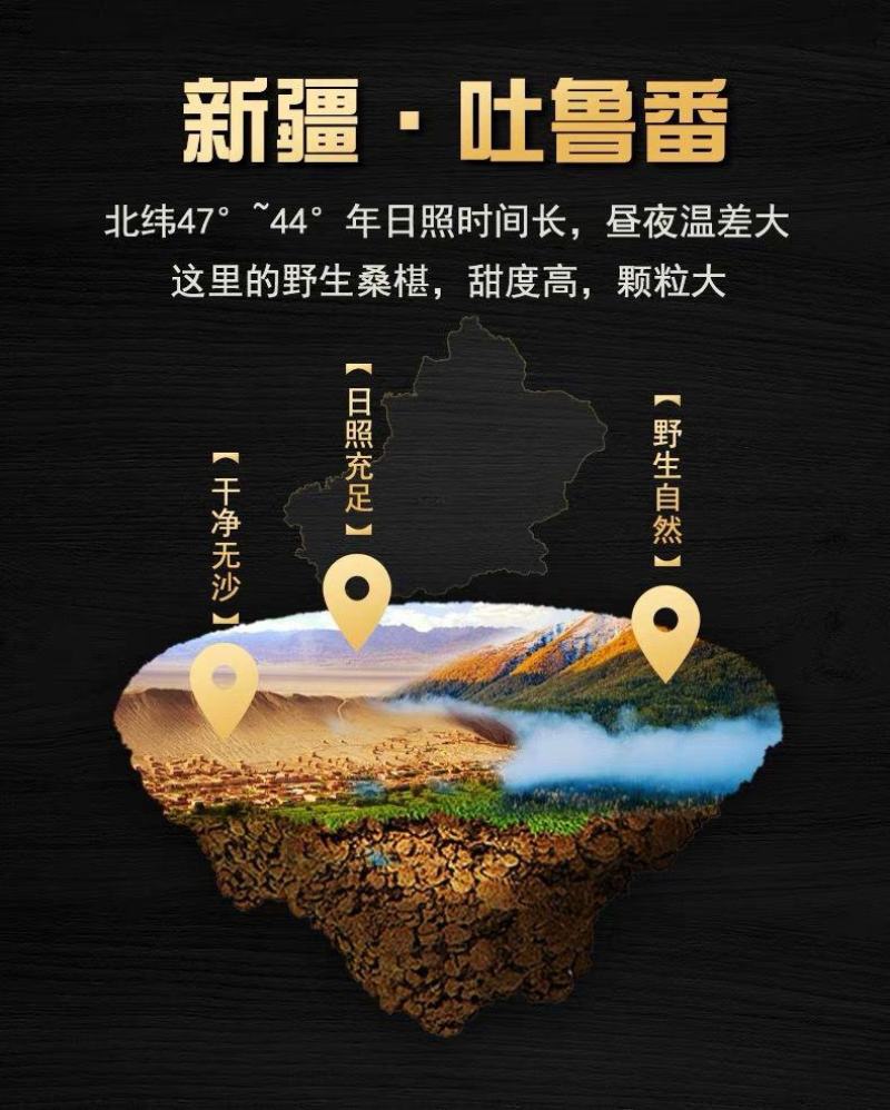 【产地】新疆桑葚干不用洗无沙黑桑葚干食用桑椹干泡茶酒