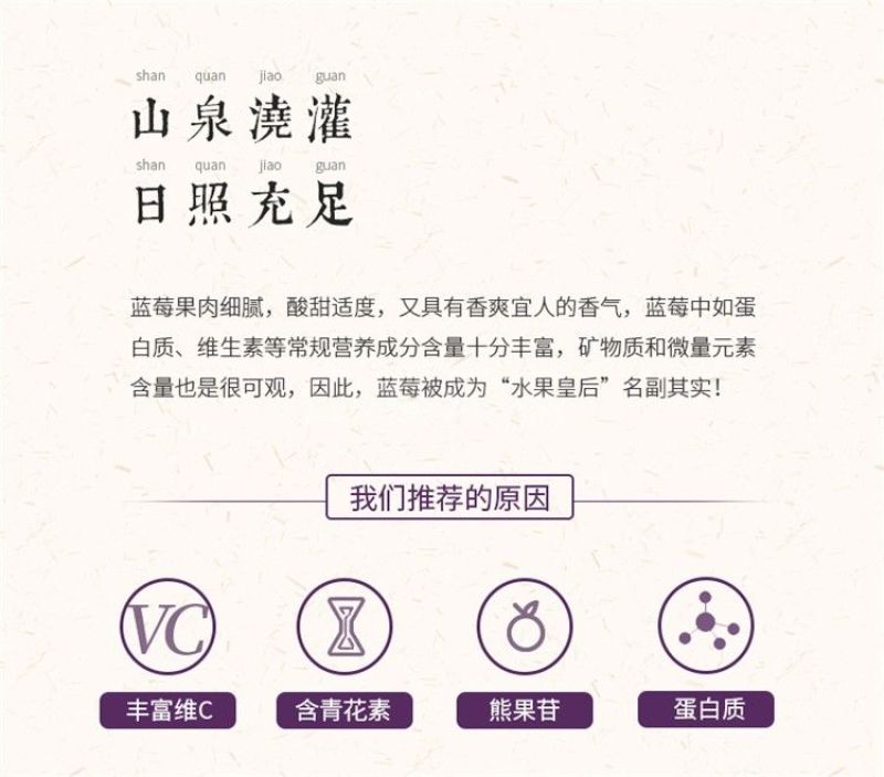 【产地直发】蓝莓干长白山蓝莓果干果脯蜜饯零食整箱超值包邮
