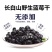 【产地直发】蓝莓干长白山蓝莓果干果脯蜜饯零食整箱超值包邮