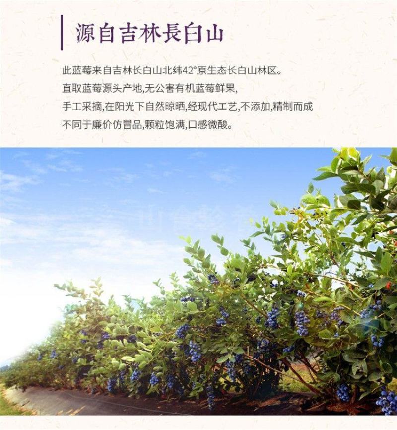 【产地直发】蓝莓干长白山蓝莓果干果脯蜜饯零食整箱超值包邮