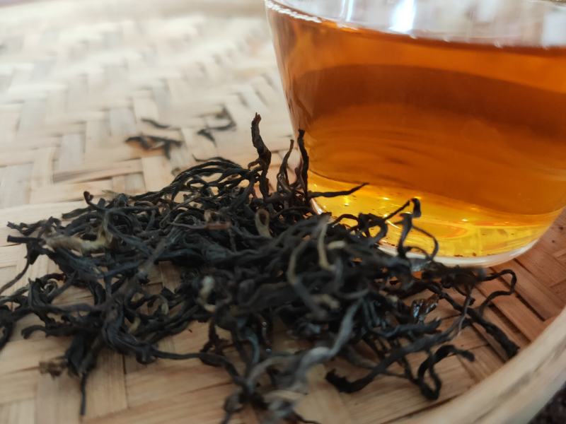 高山野茶