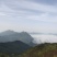 高山野茶