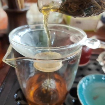高山野茶