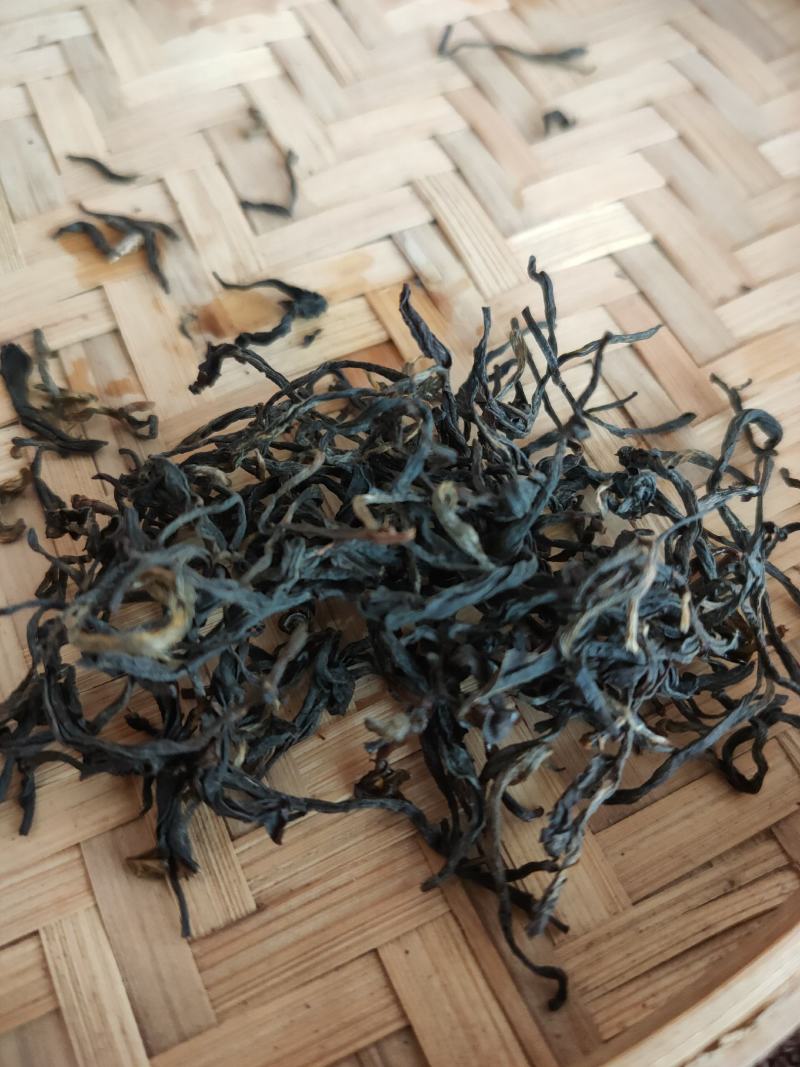 高山野茶