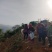 高山野茶
