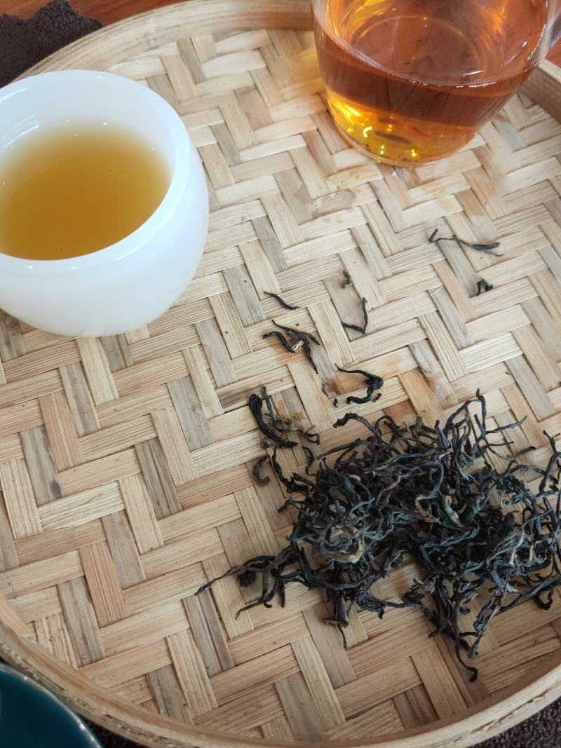 高山野茶