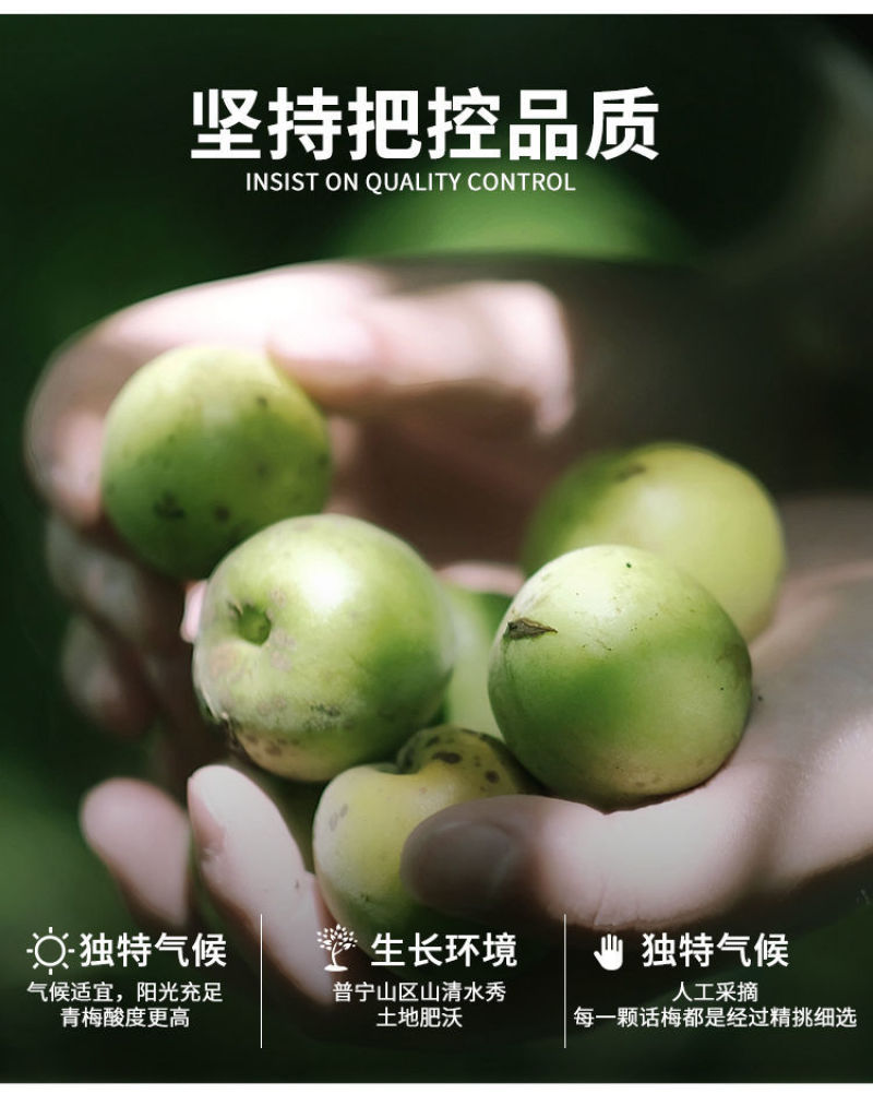 【正宗九制话梅】酸甜咸话梅甘草咸梅蜜饯果干孕妇零食话梅干