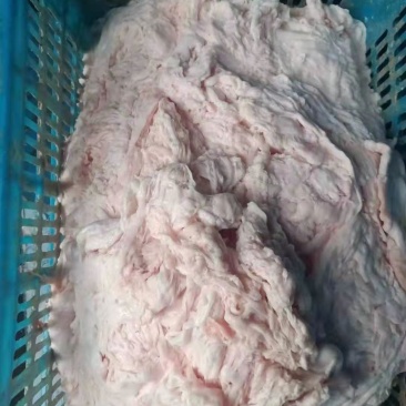 网油