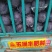 河北邯郸万亩蔬菜基地，大量精品蔬菜上市中发向全国各地