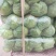 河北邯郸万亩蔬菜基地，大量精品蔬菜上市中发向全国各地