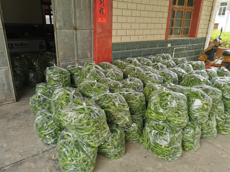 宁都陇椒螺丝椒，螺丝线椒，产地直发，每日更新