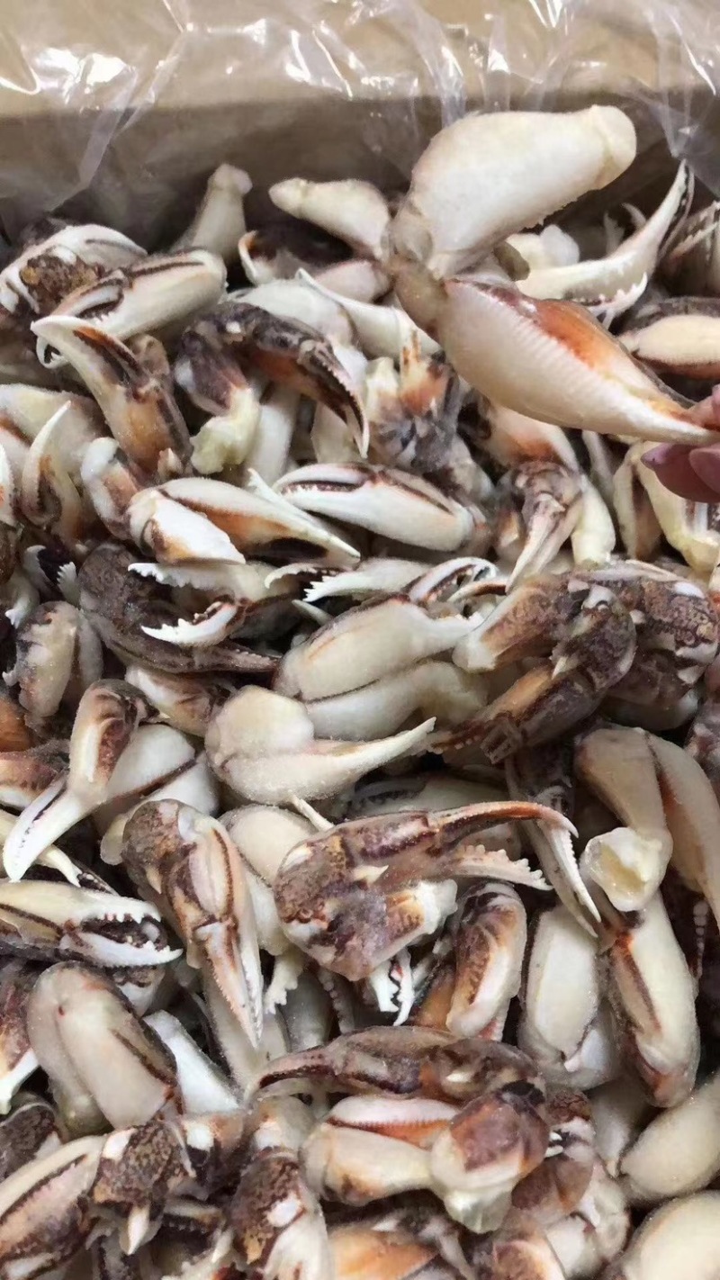 新鲜冷冻沙蟹脚蟹钳蟹脚生呛捞汁材料海洋蟹脚