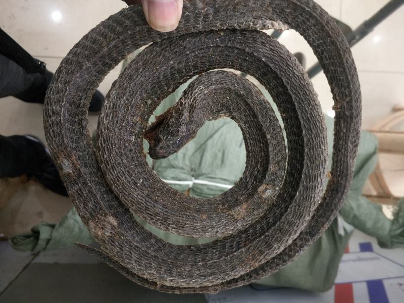 乌梢蛇，四川正品《包邮》乌梢蛇个批发各种规格中药材