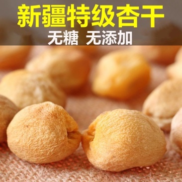 新疆2023新货特级库车小白杏干天然无添加树上杏干包邮