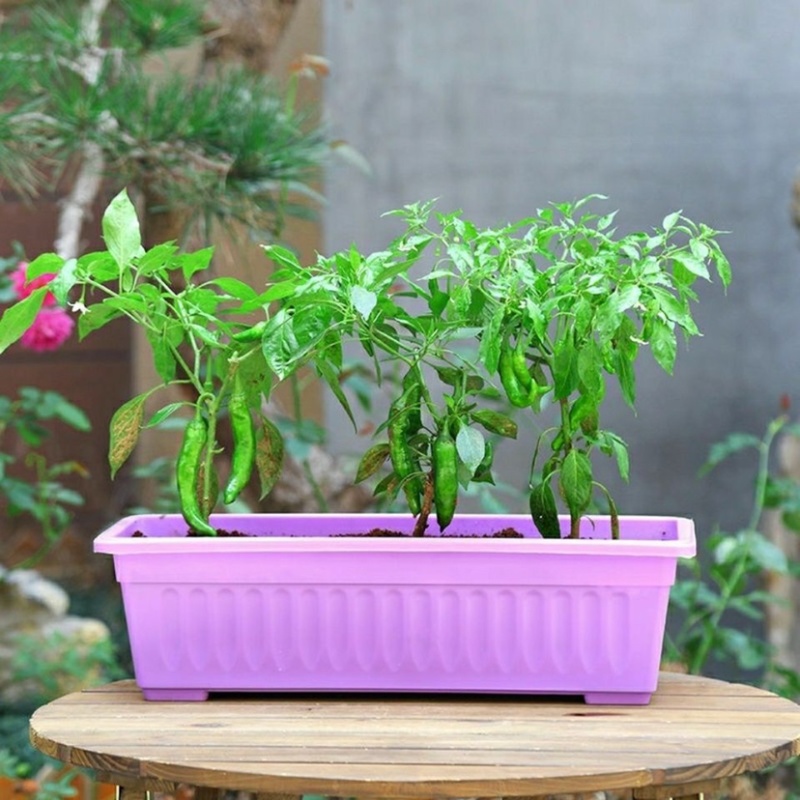 种菜盆神器花盆长方形蔬菜家庭阳台特大号大号
