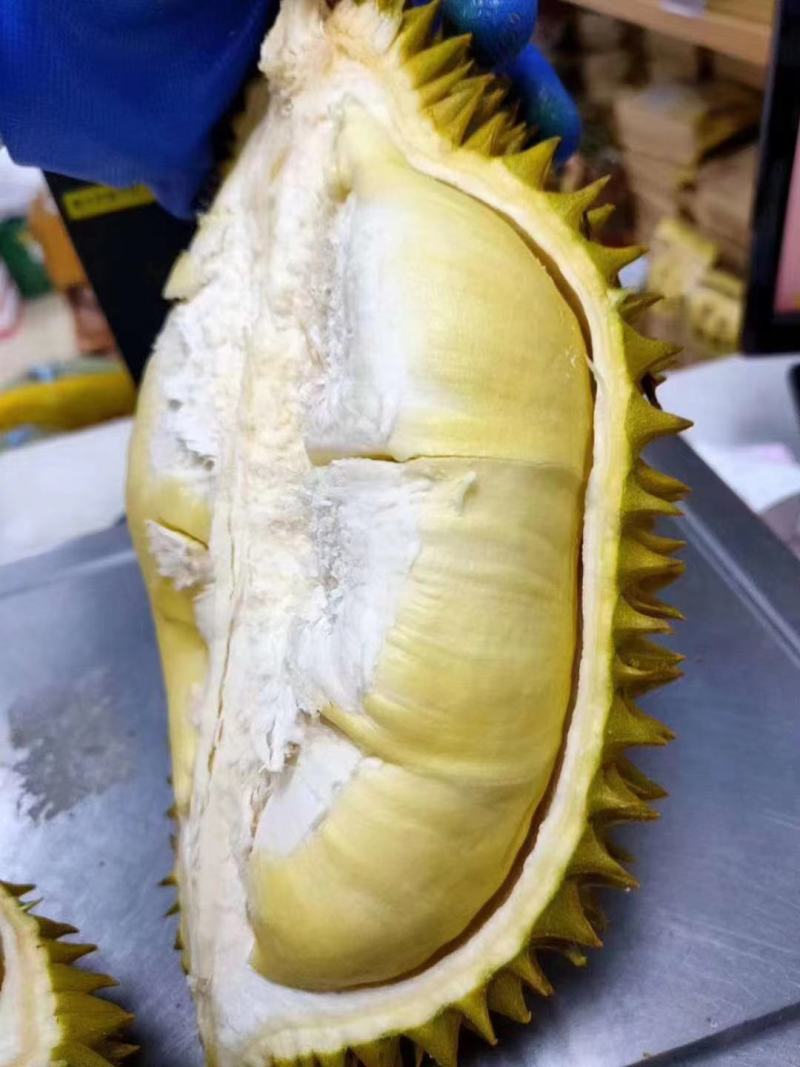 泰国金枕榴莲，象牌