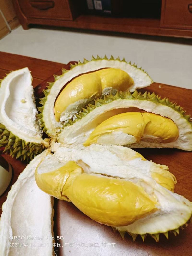 泰国金枕榴莲，象牌