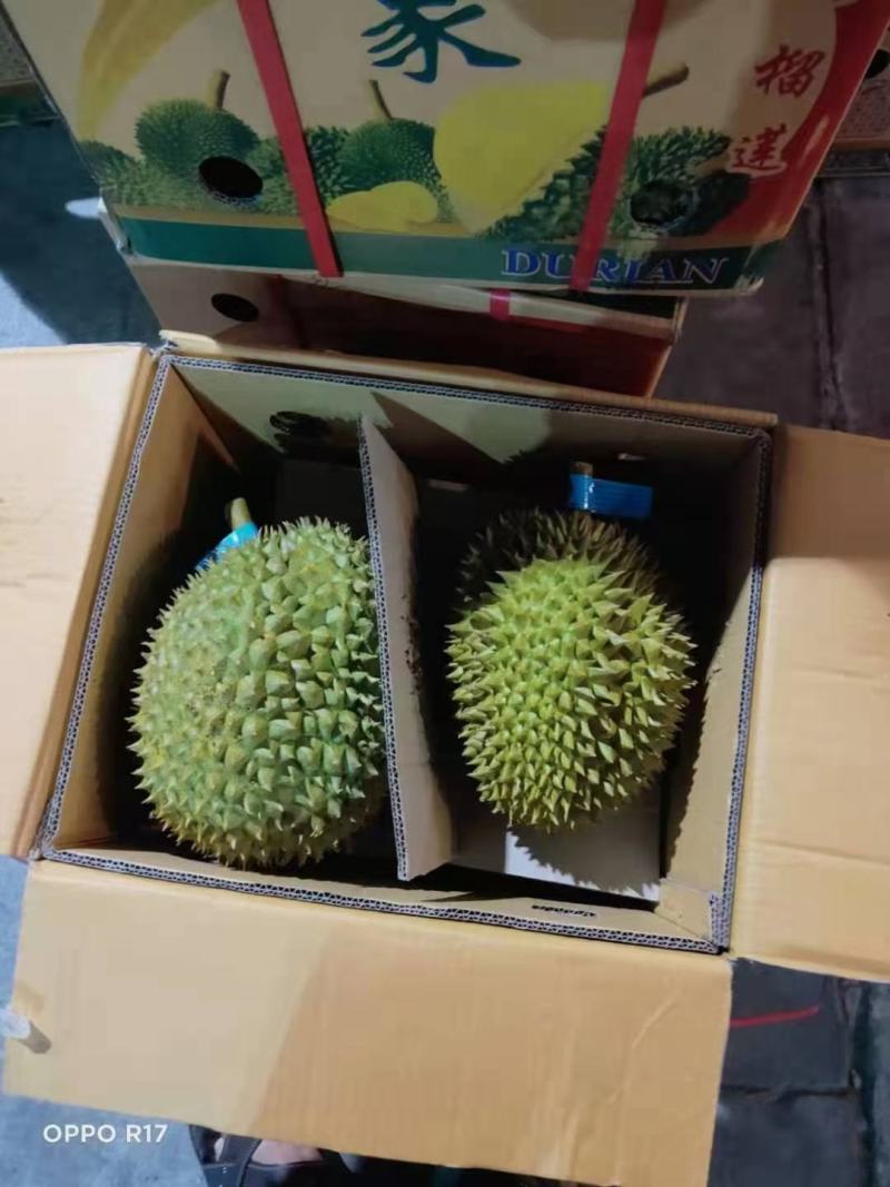 泰国金枕榴莲，象牌