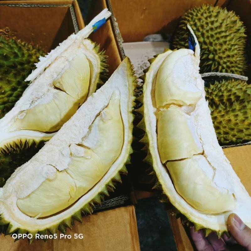 泰国金枕榴莲，象牌