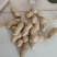 小日本花生炒货专供精选小花生批发颗粒饱满