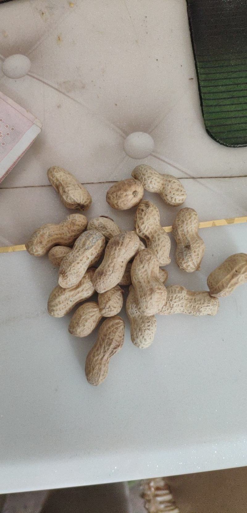 小日本花生炒货专供精选小花生批发颗粒饱满