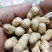 小日本花生炒货专供精选小花生批发颗粒饱满