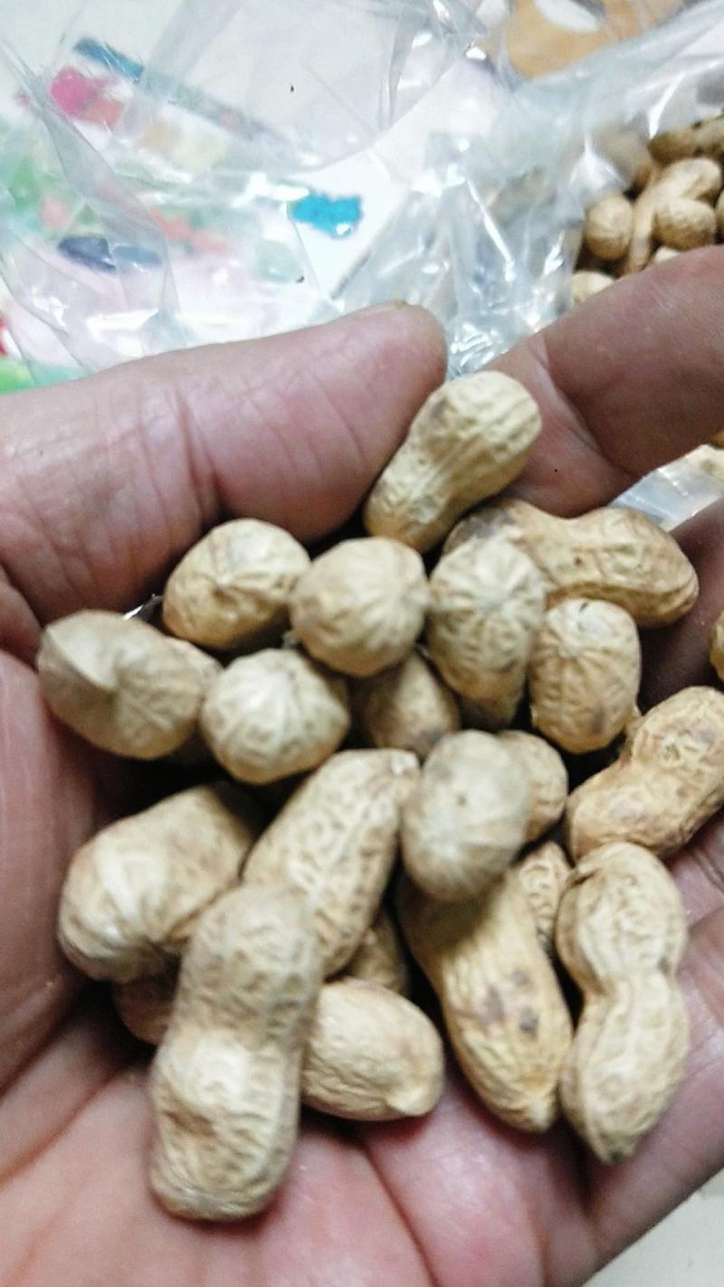 小日本花生炒货专供精选小花生批发颗粒饱满