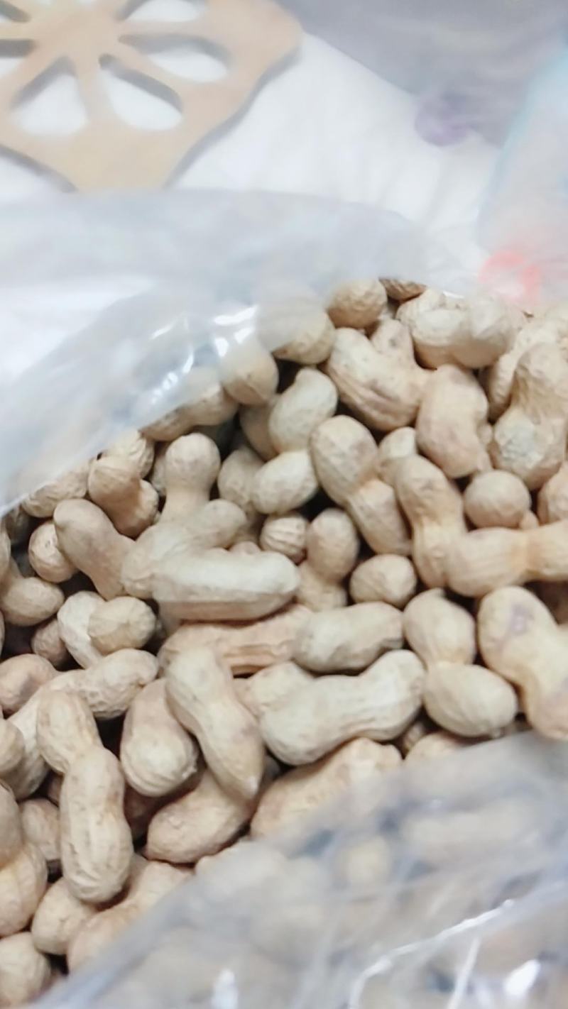 小日本花生炒货专供精选小花生批发颗粒饱满