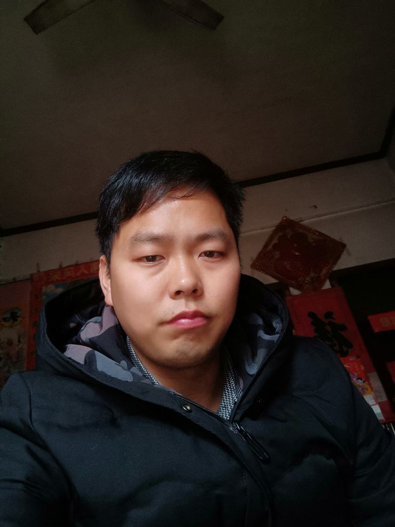 河南南阳桐柏地区泡桐4公分便宜质优价廉