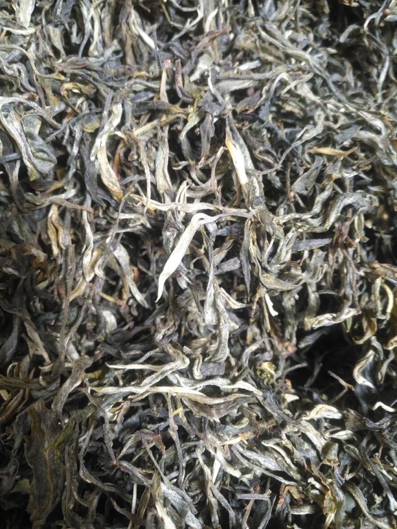 无量山古树普洱茶，茶饼可定制