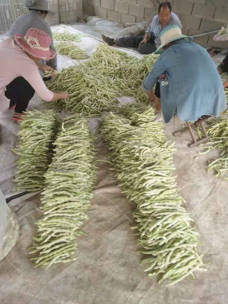 白不老芸豆条直色绿产地供应精品质量欢迎咨询