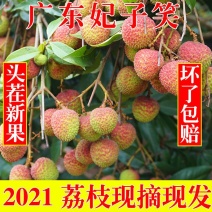 广东荔枝基地，大量有货，价格漂亮，质量保证