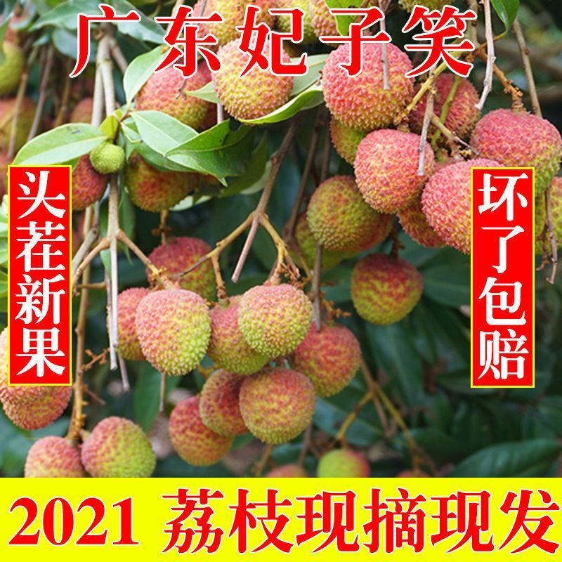 广东荔枝基地，大量有货，价格漂亮，质量保证