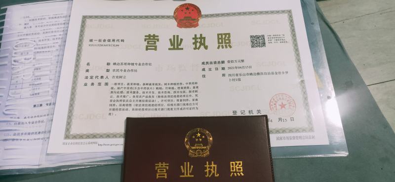 供应艾草【保质保量】端午艾草艾草支持上门看货基地批发