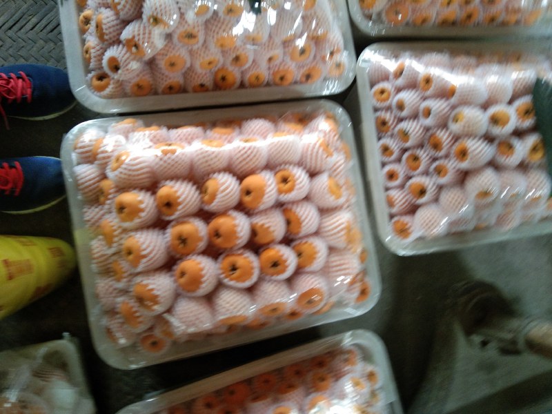 汉源五星枇杷，果大皮薄，肉厚，汁液，化渣，味甜欢迎咨询，