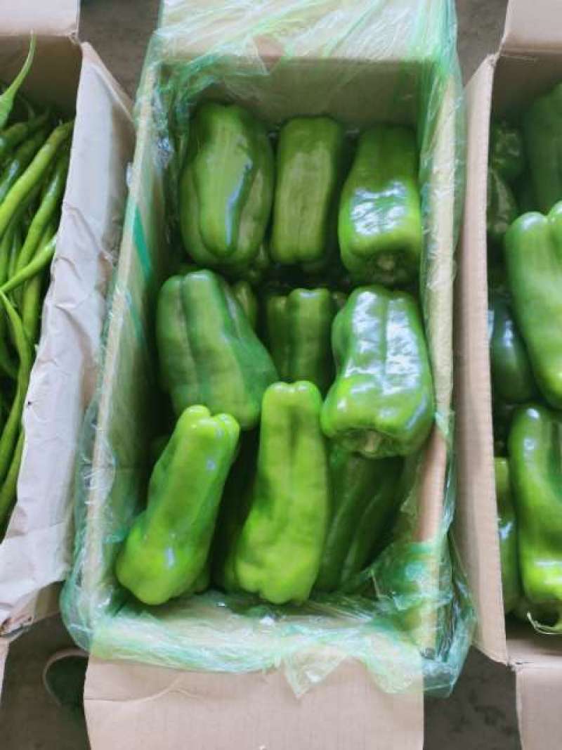 蔬菜