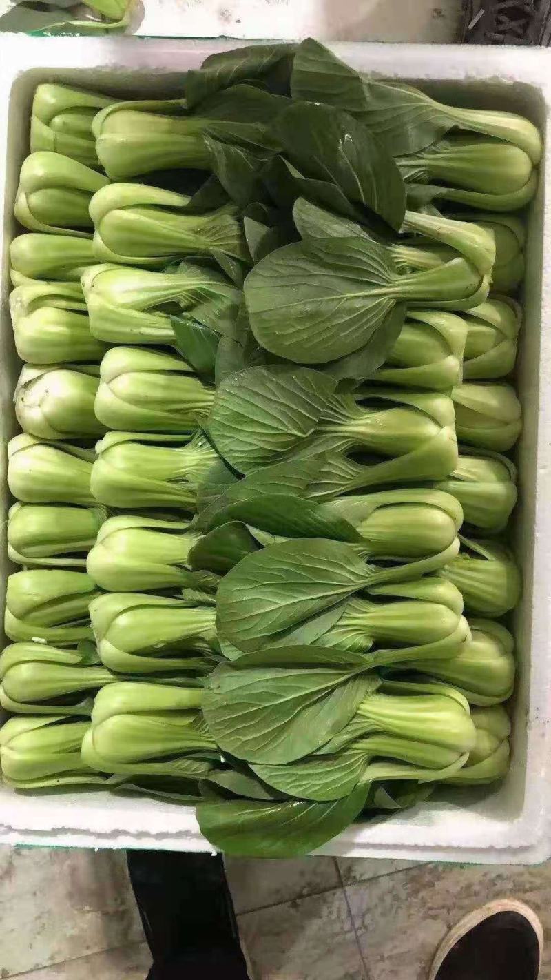 蔬菜