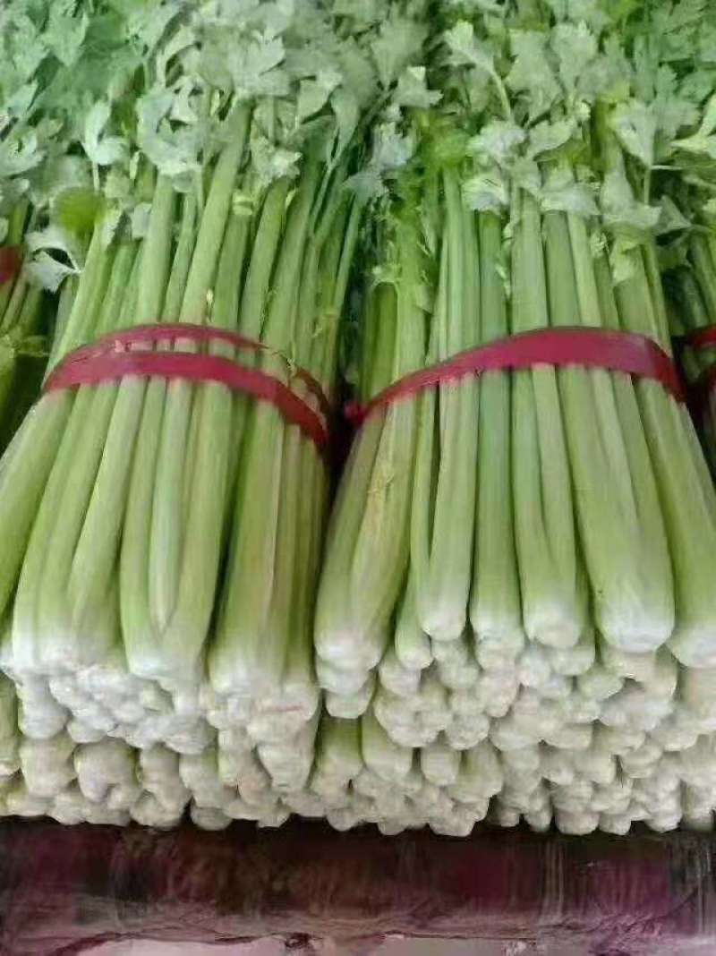 蔬菜