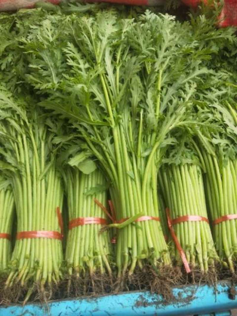 蔬菜
