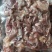 【熟牛肉】熟剔骨肉质量好价格低量大从优对接全国电商批发商