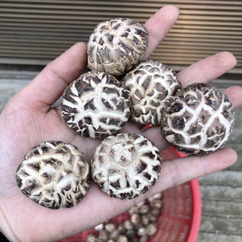 食用菌干货特级天白花菇干香菇金钱蘑菇农产品基地批发