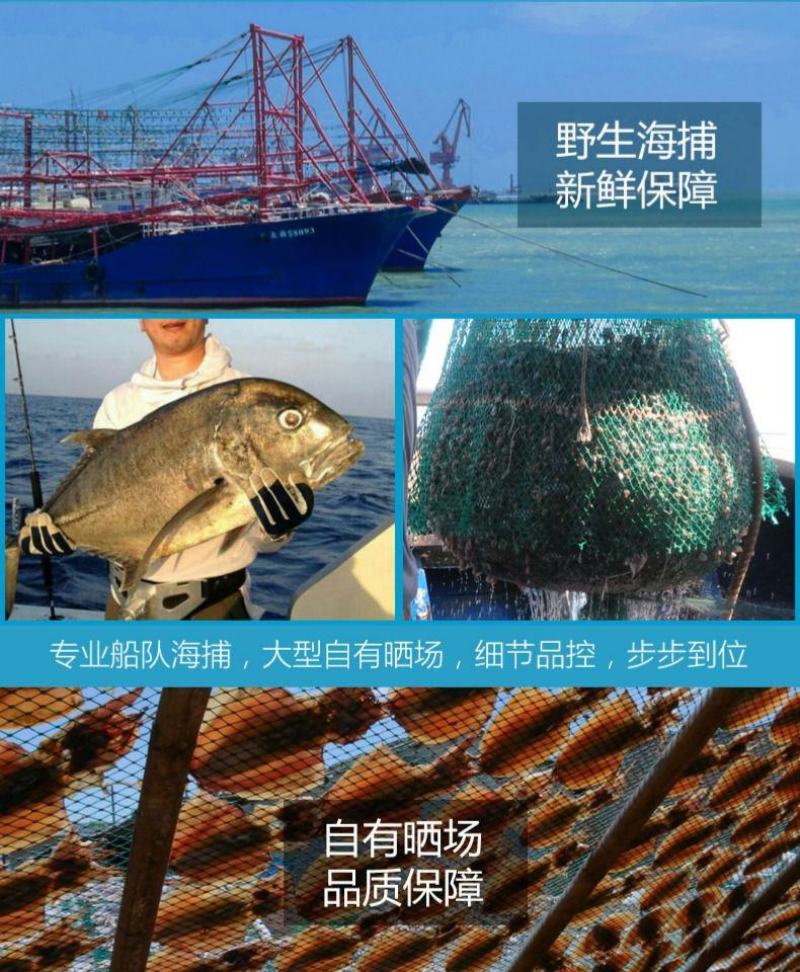 【新货】自晒大鱿鱼干500g左右干鱿鱼板海鲜干货超值包邮