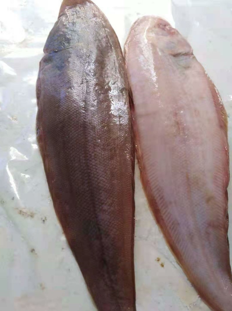 冷冻龙利鱼，对人体大脑有利开启，对于视力较差的有很好效果
