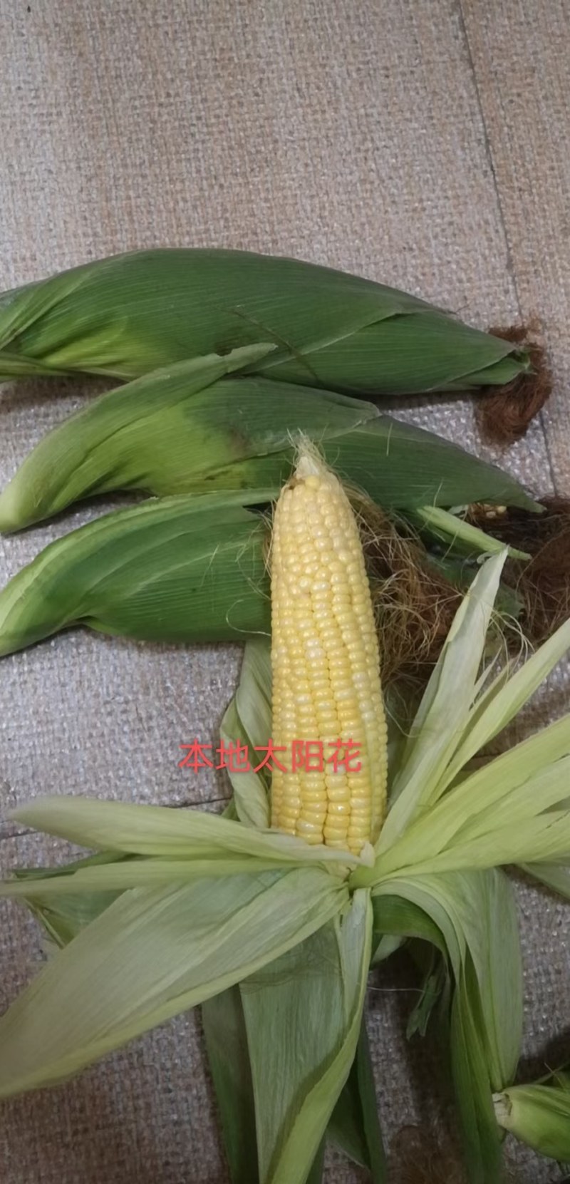 甜玉米大基地货源直供，日供十万斤以上，欢迎对接