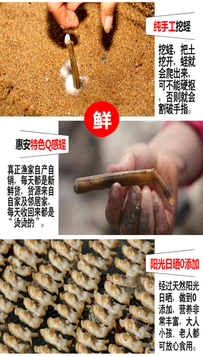 【产地】新鲜新晒蛏子干竹节海蛏子干海鲜干货海蛏干包邮