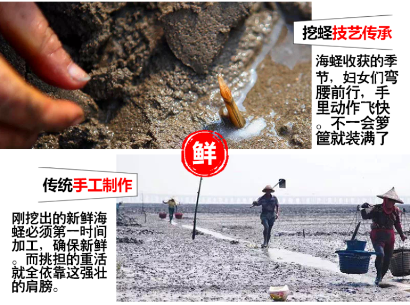 【产地】新鲜新晒蛏子干竹节海蛏子干海鲜干货海蛏干包邮