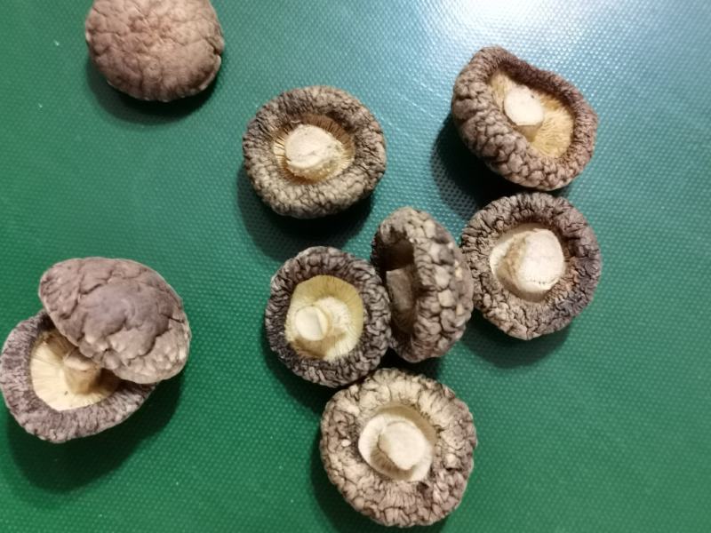 河南优选香菇新鲜干货成品菇厚菇基地直供