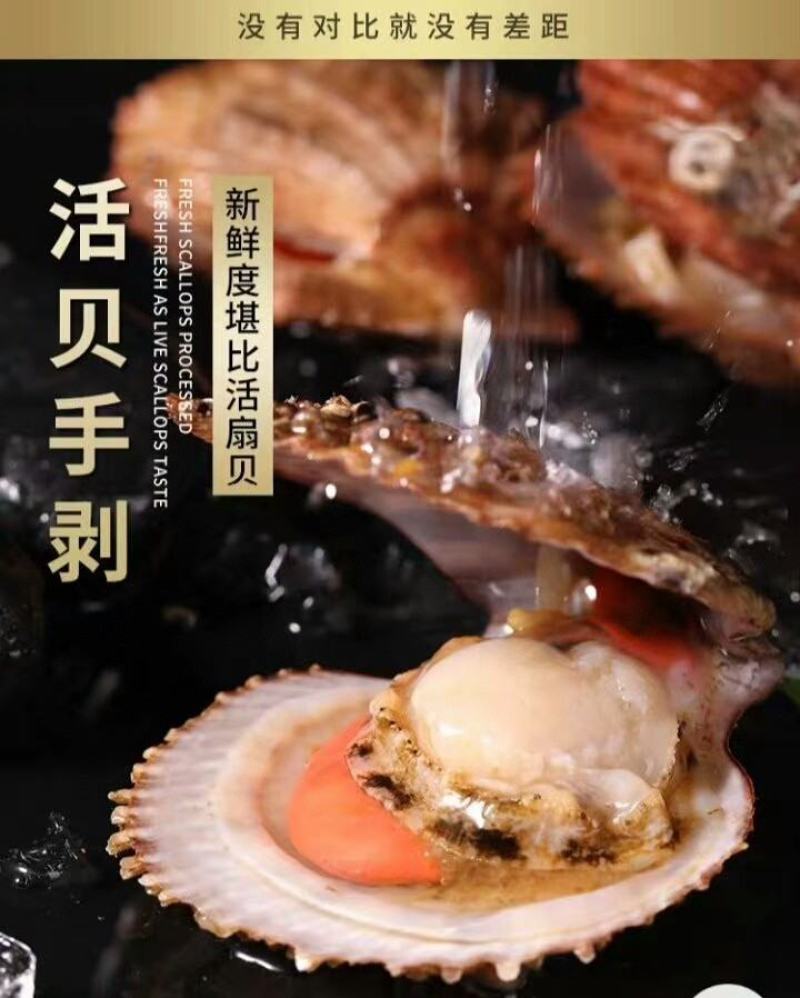 贻贝，4斤一件包邮批发价红贝肉品质保证，可批发