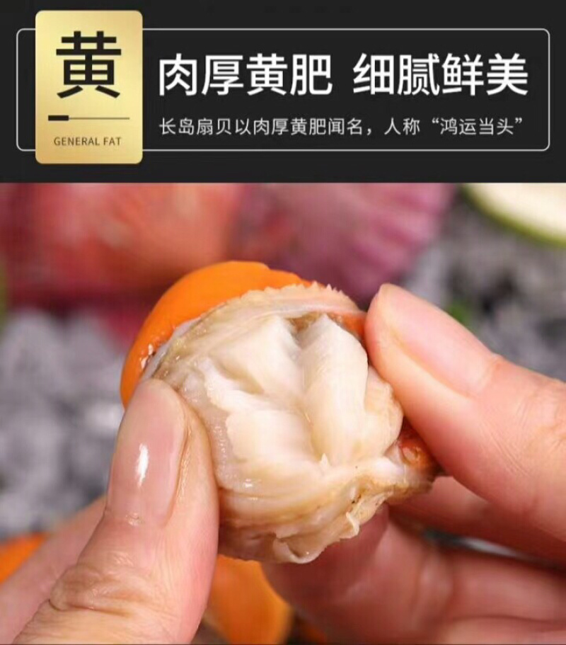 顺丰包邮4斤/箱31-40特级贻贝批发价包邮，可刺身